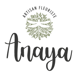 Logo Anaya